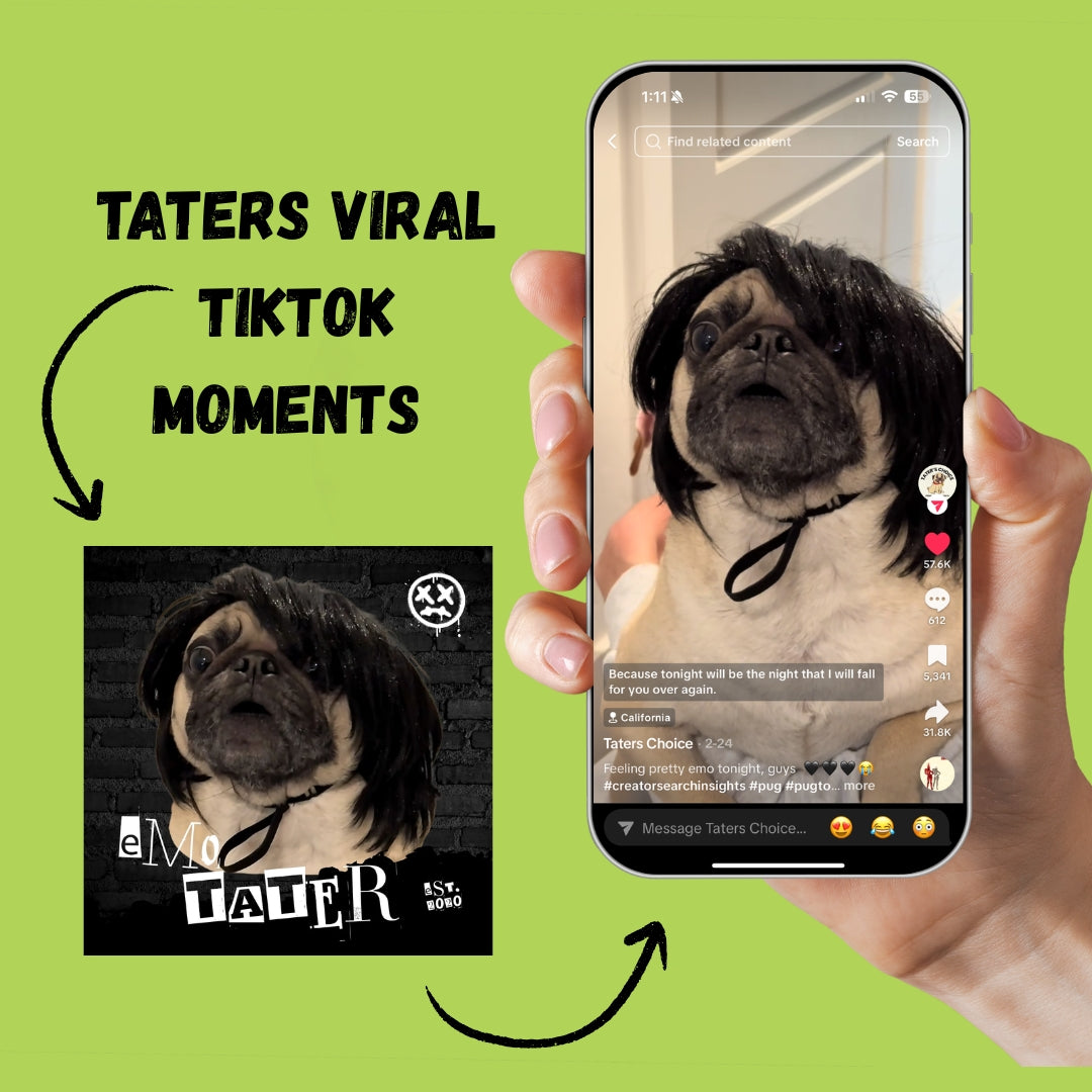 Tater the Pug Vinyl Sticker Pack - Set of 7