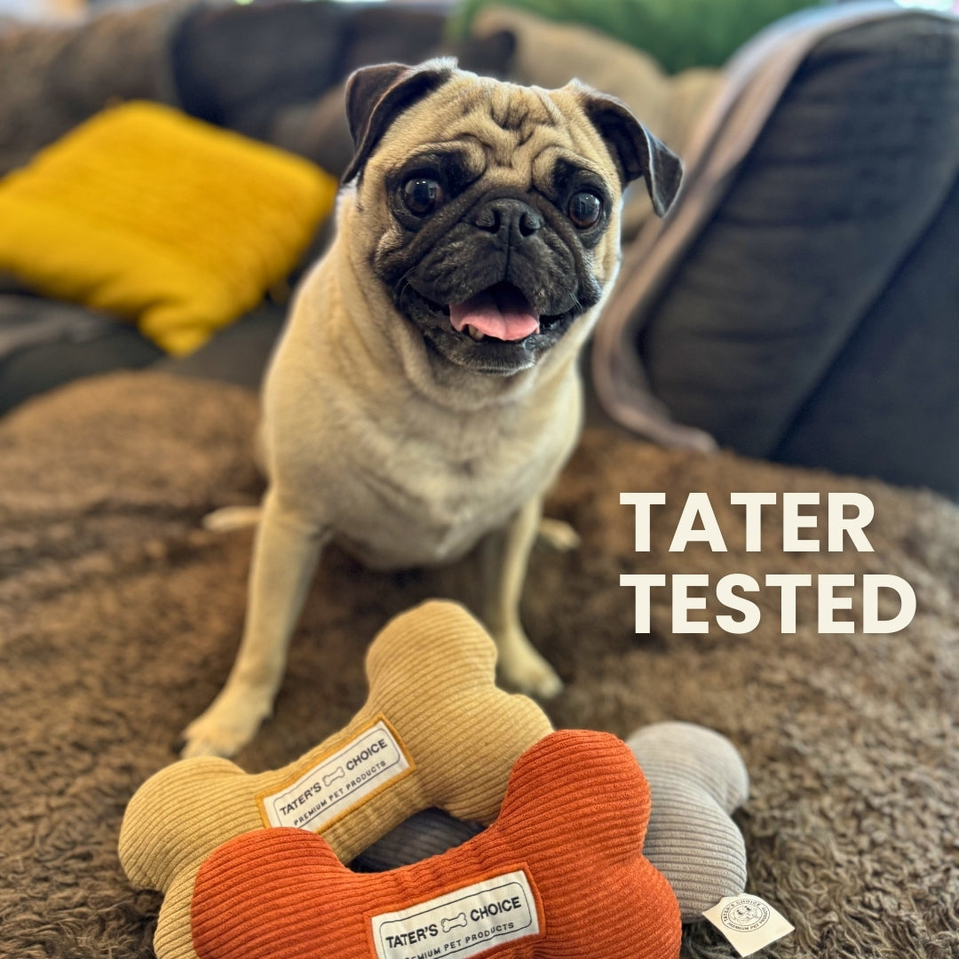 Tater's Bog Bone Squeaker Toy 3 Pack