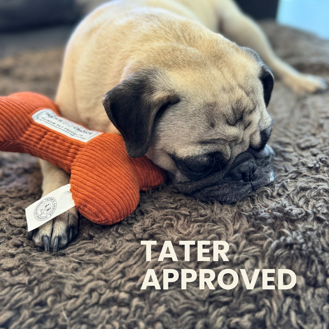 Tater's Bog Bone Squeaker Toy 3 Pack