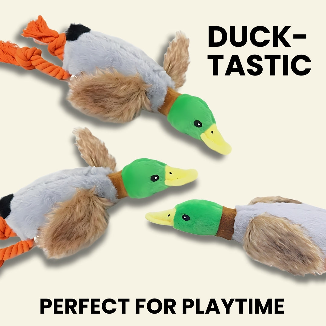 Crinkle Wings & Squeaky Plush Duck Dog Toy - 3 Pack