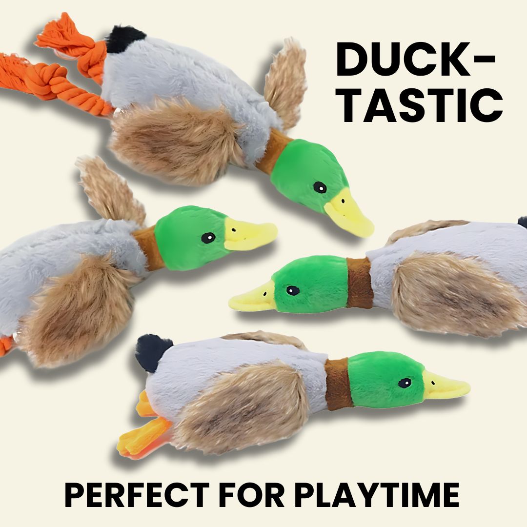 Crinkle Wings & Squeaky Plush Duck Dog Toy - 4 Pack