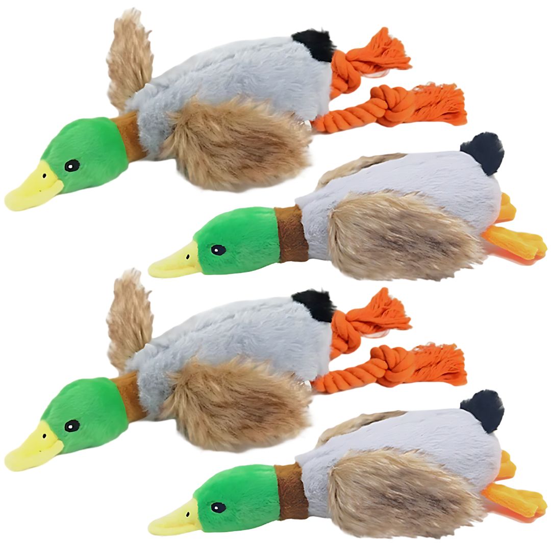 Crinkle Wings & Squeaky Plush Duck Dog Toy - 2 Pack