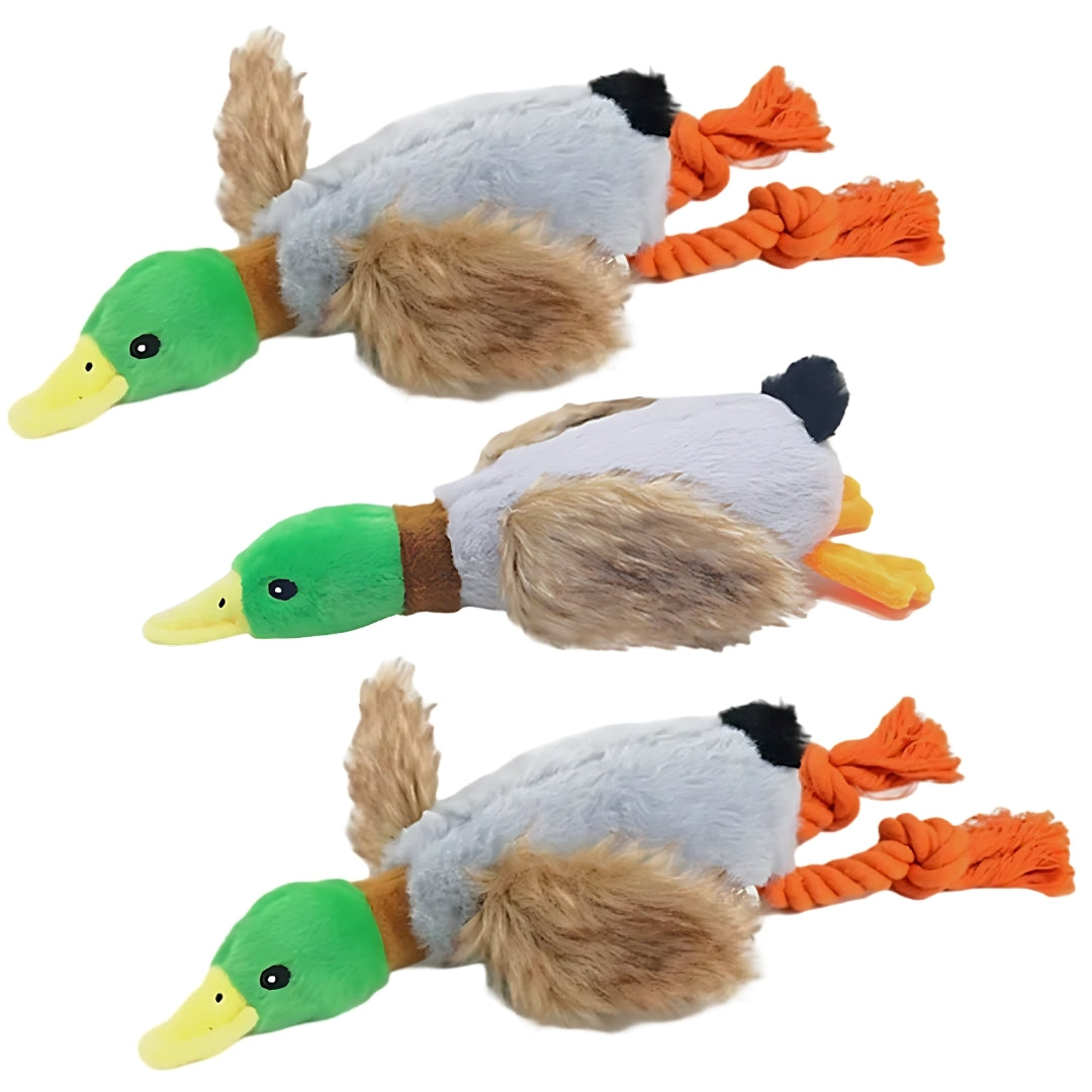 Crinkle Wings & Squeaky Plush Duck Dog Toy - 2 Pack