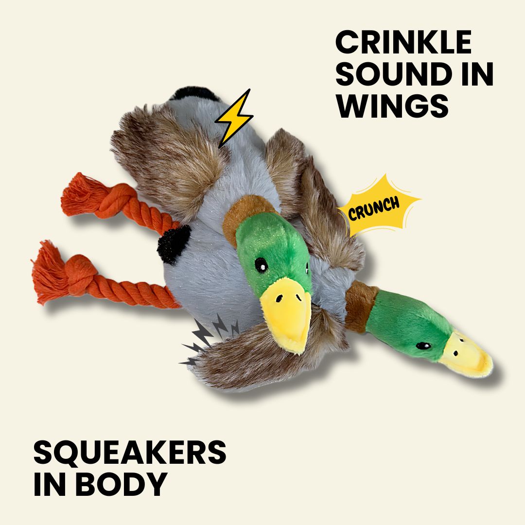 Crinkle Wings & Squeaky Plush Duck Dog Toy - 3 Pack