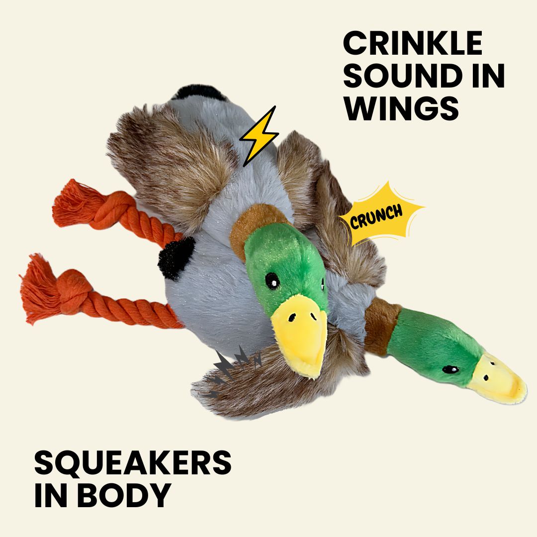 Crinkle Wings & Squeaky Plush Duck Dog Toy - 2 Pack