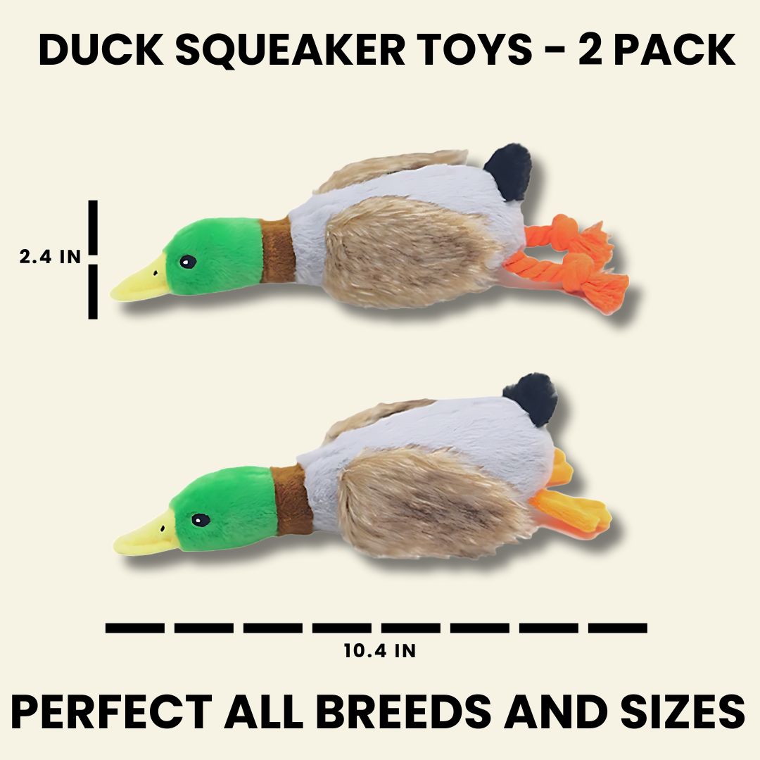 Crinkle Wings & Squeaky Plush Duck Dog Toy - 2 Pack