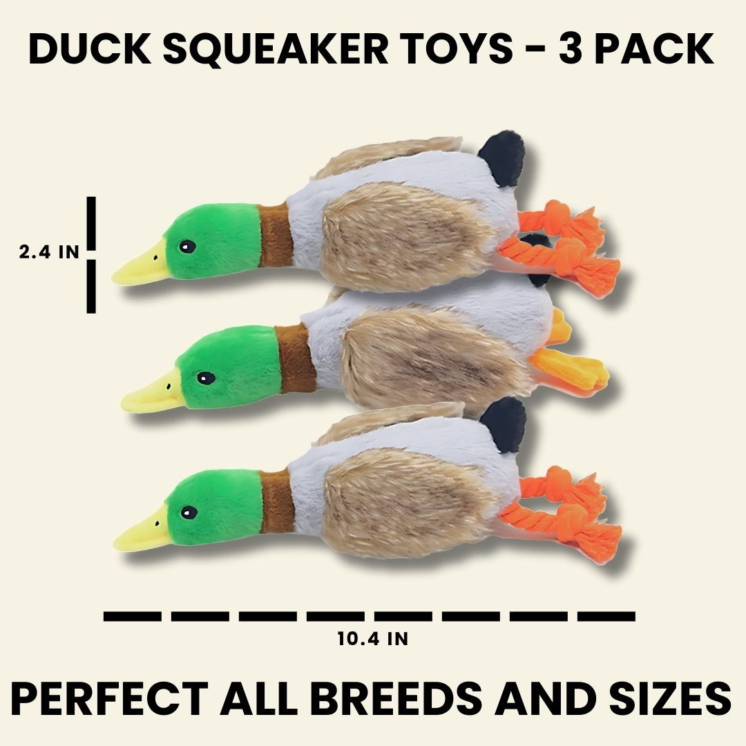 Crinkle Wings & Squeaky Plush Duck Dog Toy - 2 Pack