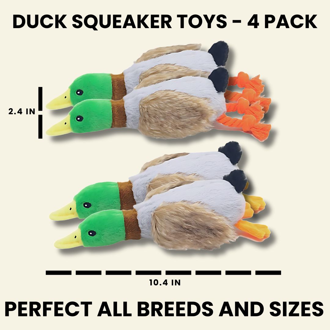 Crinkle Wings & Squeaky Plush Duck Dog Toy - 2 Pack