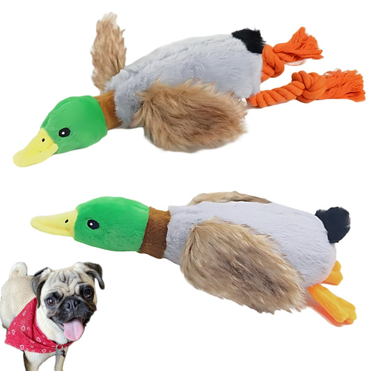 Crinkle Wings & Squeaky Plush Duck Dog Toy - 2 Pack